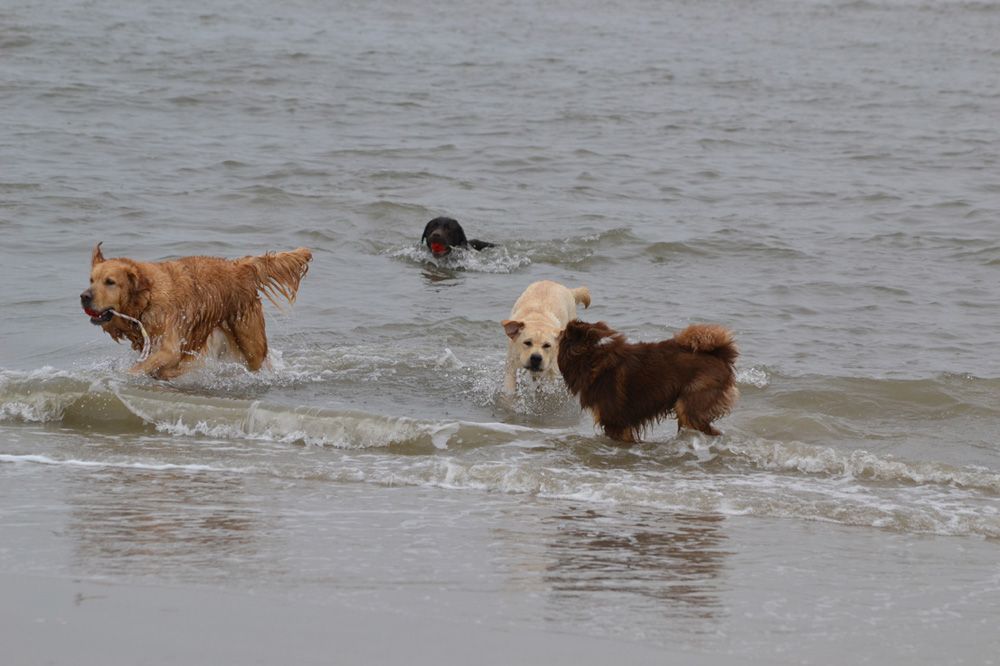 Reise St Peter Ording