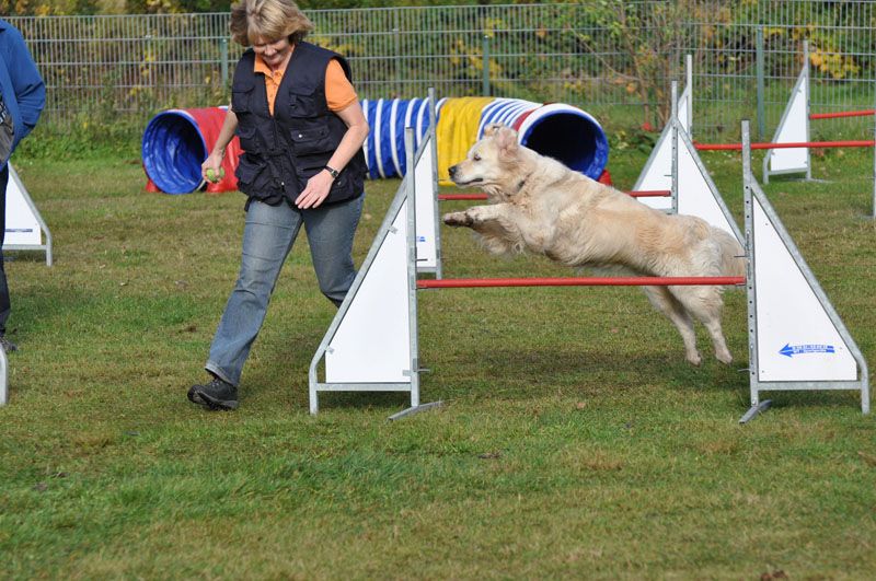 Agility Seminar 2012