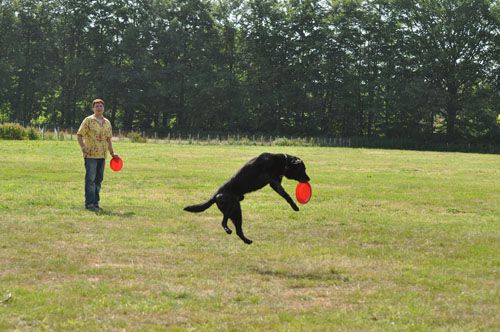 Frisbee